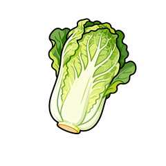 [Vector EPS]A fresh and green Chinese cabbage with vibrant leafy structure