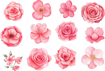seamless pattern with pink roses