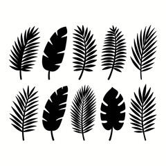 [Vector EPS]Set of black tropical leaf silhouettes for design elements