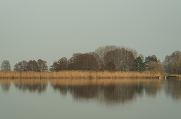 Calm lake with reeds and bare trees reflected in water