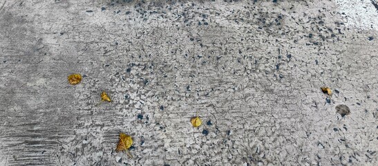 Dry Leaves on Weathered Concrete Floor with Rough Texture Background