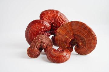 Lingzhi or Reishi mushroom with capsules, organic natural healthy food.