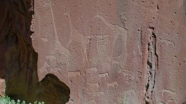a tilt up clip of a rock art carving of giraffe and various african animals at twyfelfontein in namibia, africa