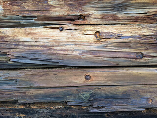 Obraz premium Close-up texture of weathered, decaying wooden planks with deep cracks and rusted iron nails embedded in the surface.