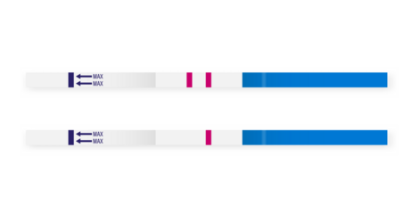 Pregnancy Test Result: A pair of pregnancy tests displaying distinct results, representing the anticipation and revelation inherent in the tests. 