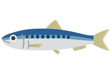 イワシのイラスト