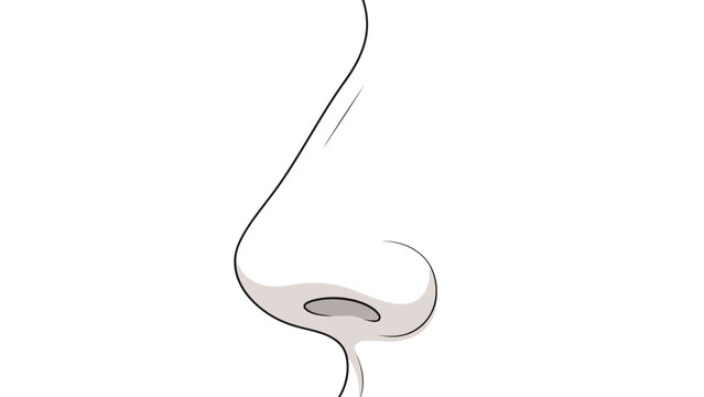 Stylized illustration of a human nose in profile