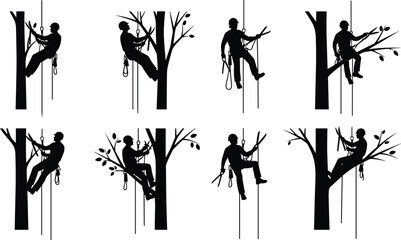 Set of Arborist and Tree Climber Silhouettes Performing Rope Access and Pruning Work Isolated on White Background Vector Illustration