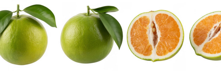 Green oranges with two sliced citrus fruit isolated on a transparent background