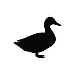 Obraz premium Duck silhouette vector flat design on white background.