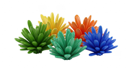 Colorful flowers isolated on transparent background