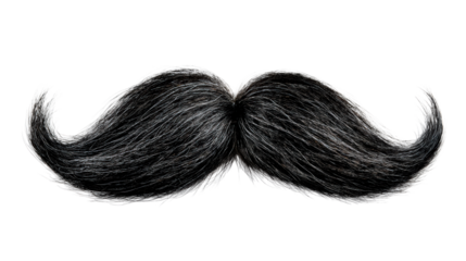 A detailed close up of a black and gray mustache, perfect for costume accessories, editorial content, or character portrayal in media projects.