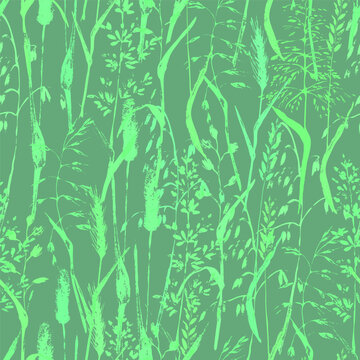 Hand drawnwild plant seamless pattern in green color. Meadow ear grass, timothy, oat, wheat ears, fowl, foxtail, couch-grass. Decorative background for organic eco product