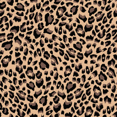 Leopard print pattern