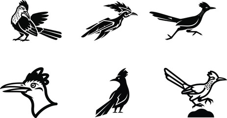 Vector graphics of desert birds with long tails and crests suitable for mascot creation and vinyl decal stickers.