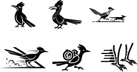 Unique collection of fast bird graphics featuring the famous roadrunner in sprinting action for energetic visual communication goals.