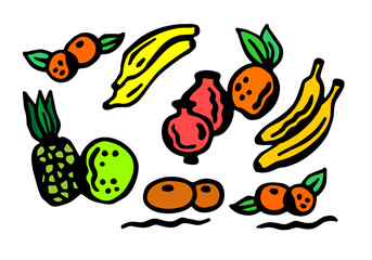 Color vector illustration of tropical fruits ripe and bright on a white isolated background horizontal banner