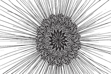 Ornate Radial Mandala with Burst Lines in Black and White