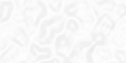 White wave paper curved reliefs abstract background, Abstract topographic contours map background. Black and white lines seamless Topographic map patterns, topography line map.