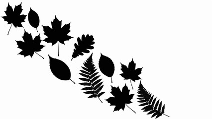 Autumn leaves in silhouette, creating a natural, organic pattern
