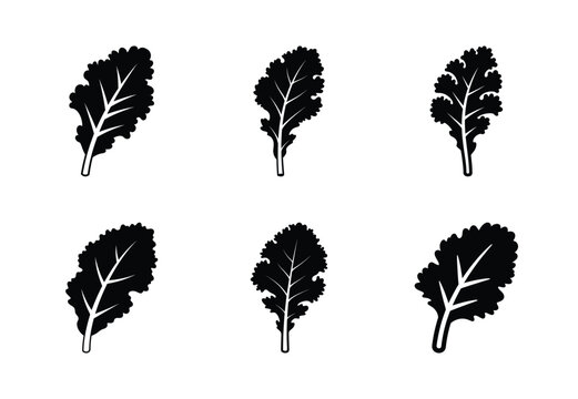 set of food kale leaf silhouette icon vector illustration isolated on white background