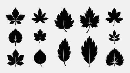 Collection of diverse black leaf silhouettes on a light gray background