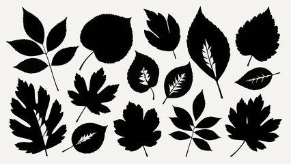 Collection of diverse leaf silhouettes on a neutral background