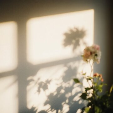 window light reflecting with flowers
