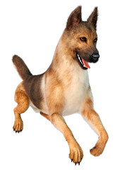 3D Rendering German Shepherd on White