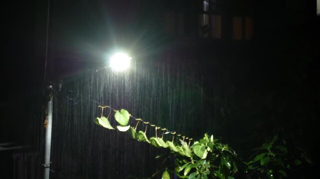 Streetlight or streetlamp at night with rainfall in monsoon season reflecting vibrant lens flares