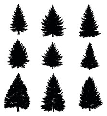 Pine tree silhouette set black and white flat vector