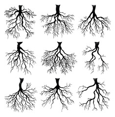 Simple tree root collection with various shapes black and white line art