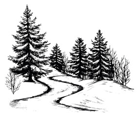 Obraz premium Winter forest set with pine trees and snow path hand drawn outline illustration