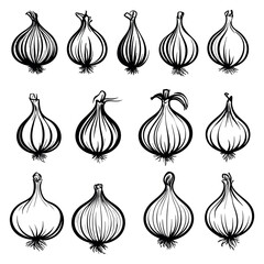 Black and white onion icon set hand drawn outline illustration