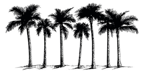 Naklejka premium Vintage palm tree set with coconut fruits black and white line art