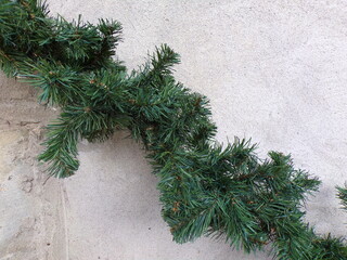 christmas tree branches