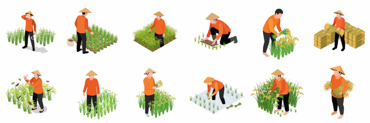 Isometric Illustration Various Farming Activities Process of Asian Farmer with Conical Hat © ngentutgajah