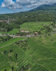 Aerial View Balinese Rice Terraces Village, Drone Surveying Emerald Paddies Beneath Mountain Backdrop,