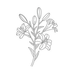 Simple line drawing of a flowering plant