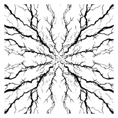 Fototapeta premium Abstract crack pattern set with radial branches black and white line art