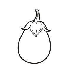 Ripe big eggplant linear drawing on white background