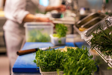 A view into a professional Bavarian kitchen which cook with fresh green vegetables