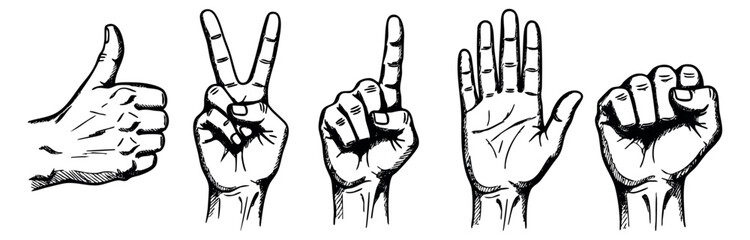 Hand drawn hand gesture icon set with thumb up, peace, number one, open palm and fist