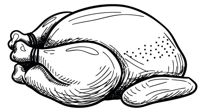 Roasted turkey illustration hand drawn sketch