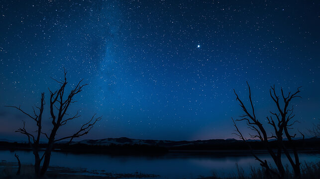 仰ぎ見る蒼穹の祈り