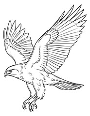 Fototapeta premium Falcon bird illustration with spread wings hand drawn outline illustration