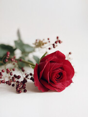 Red rose and berries on a white surface.