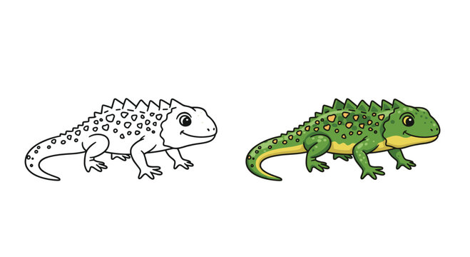 Illustration of a Tuatara lizard, shown as a detailed black and white outline for coloring and a complete, colorful version.