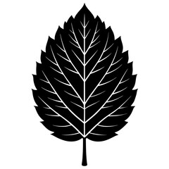 A vintage black ink pen set featuring a leaf silhouette vector illustration and bird feather quill wing icons for nature art design