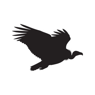 vultur silhouette vector flat illustration on white background